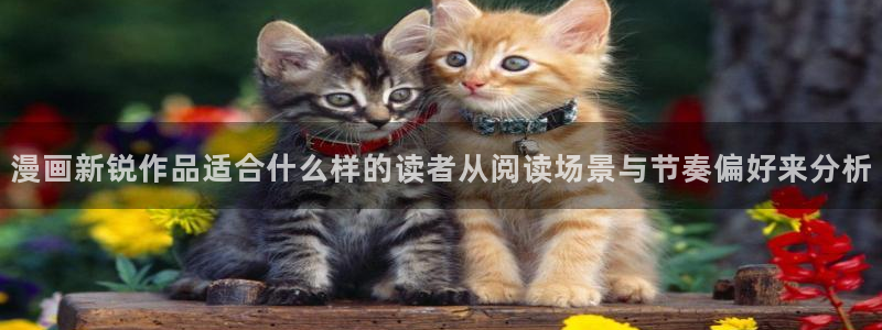 梦漫漫画阅读软件：漫画新锐作品适合什么样的读者从阅读场景与节奏偏好来分析