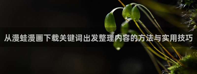 梦漫漫画在线阅读软件